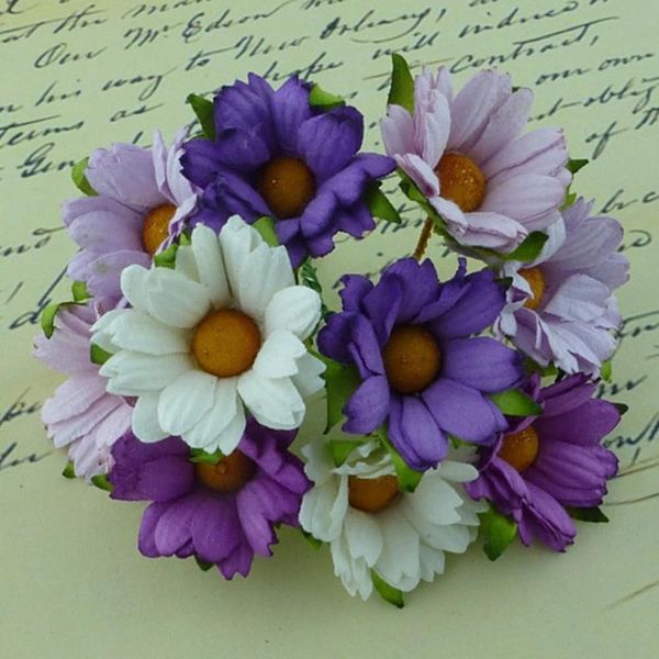 Daisy Flower - Purple Combo