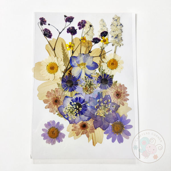 Dry Flowers - Violet Family #1