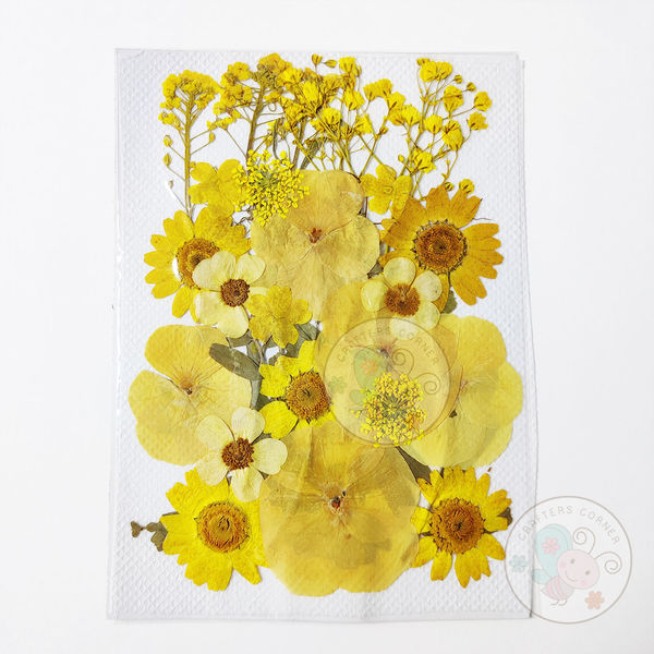 Dry Flowers - Yellow #2