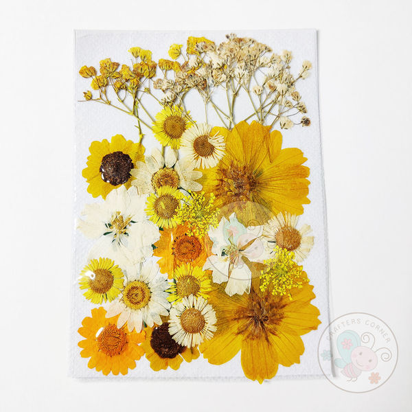 Dry Flowers - Yellow Family