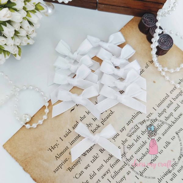 Snow White Ribbon Bows