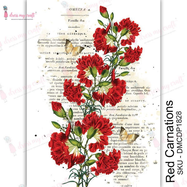 Red Carnations - Transfer Me