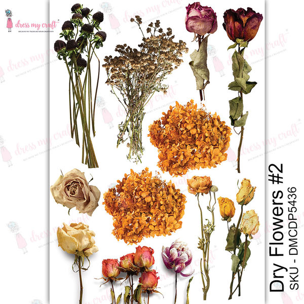 Dry  Flowers #2 - Transfer Me