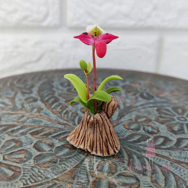 Miniature Orchid Bunch - Pinkish White With Pot & Box