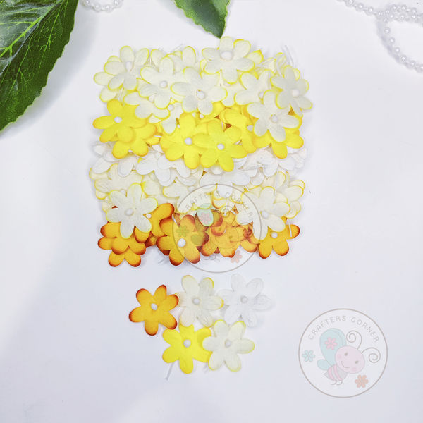 Flat Flowers With Pollens - Yellow Family