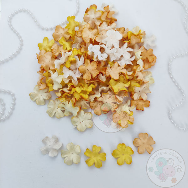 Flower Petals - Yellow Combo