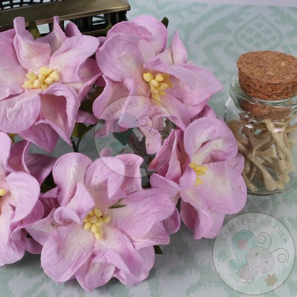 Gardenia Flowers - Lilac