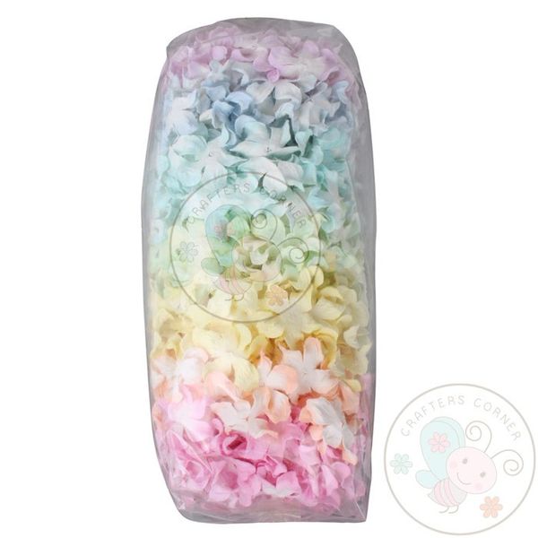 Gardenia Petals - Pastel Color 6