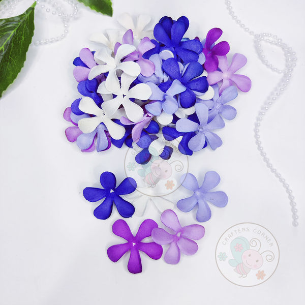 Jasmine Flower Petals - Purple Family