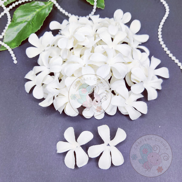 Jasmine Flower Petals - White