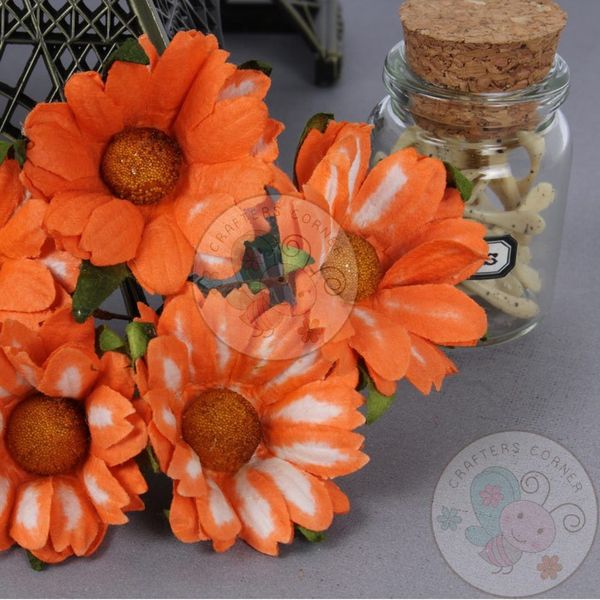 Shaded Orange - Mulberry Daisy Flower