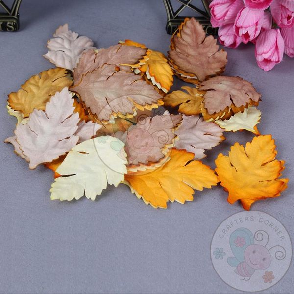 Autumn Season - Mulberry Leaves