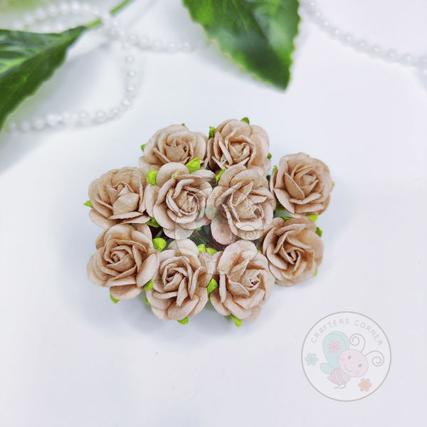 Micro Mini Roses - Sand