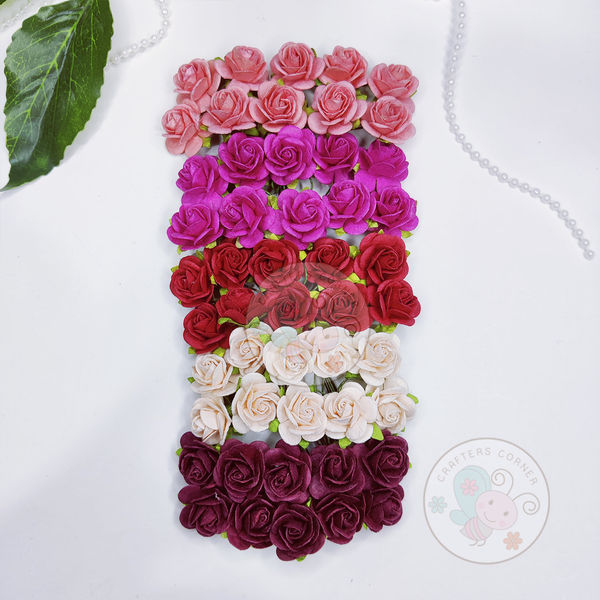 Micro Roses - Pink  Family Combo Set