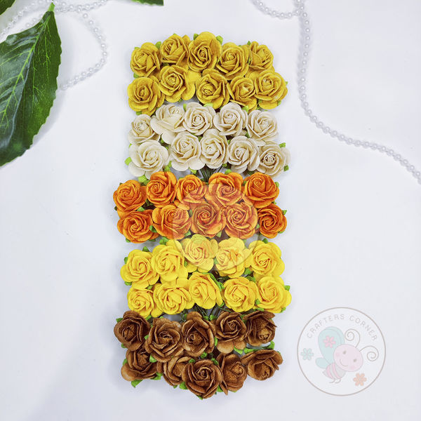 Micro Roses - Yellow  Family Combo Set