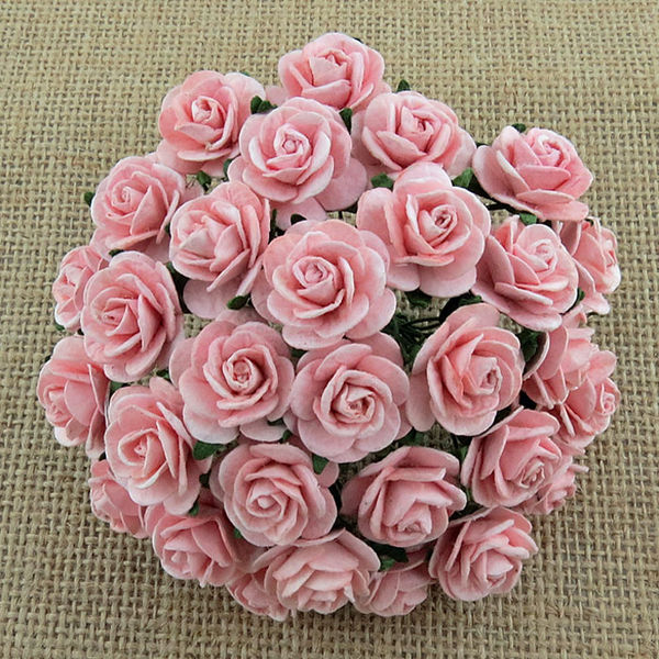 Micro Roses -  Light Pink