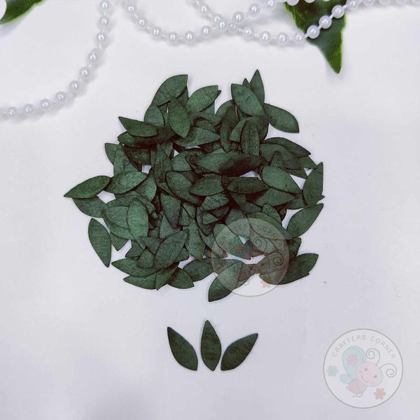 Micro Mini Rose Mulberry Leaves -  Dark Green