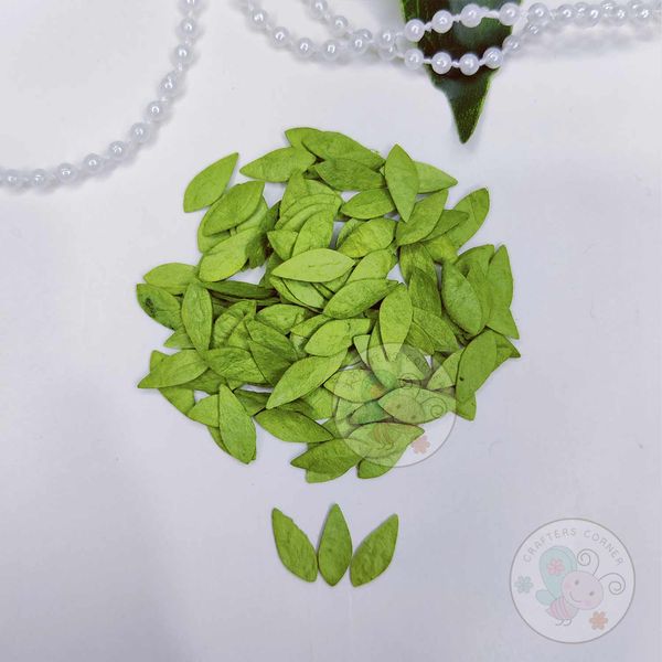 Micro Mini Rose Mulberry Leaves -  Olive Green