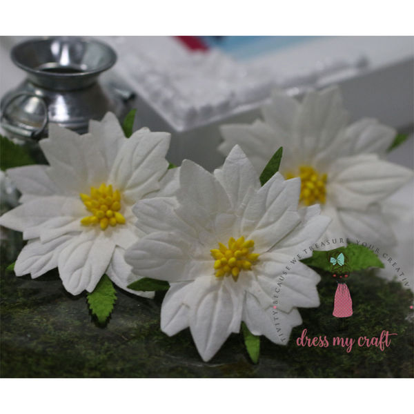 Poinsettia Flower Large - White