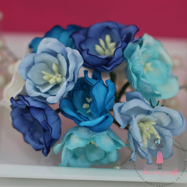 Poppy Rose - Blue Combo