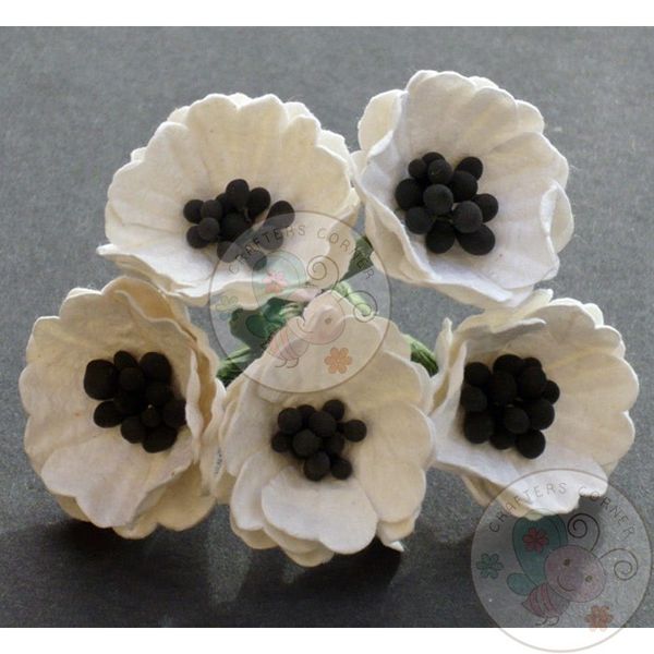 Poppy Flower with Pollens - White/Cream