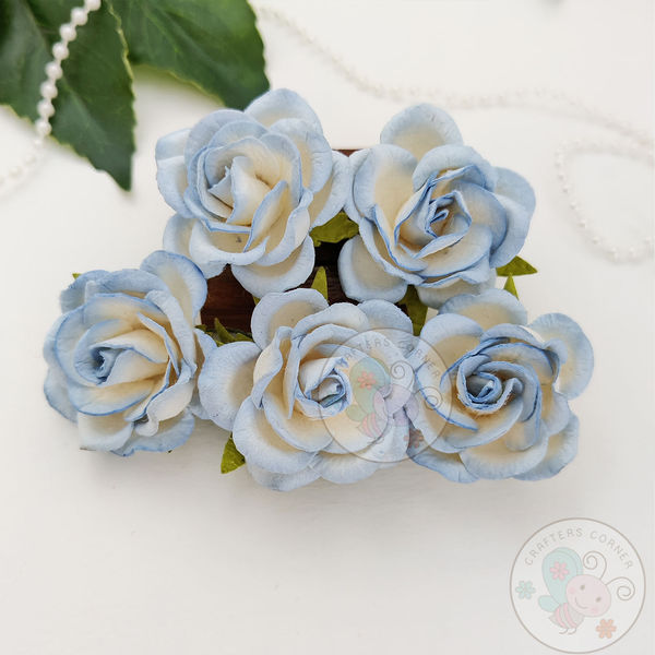 Curved Roses 35 MM - Ice Blue Combo