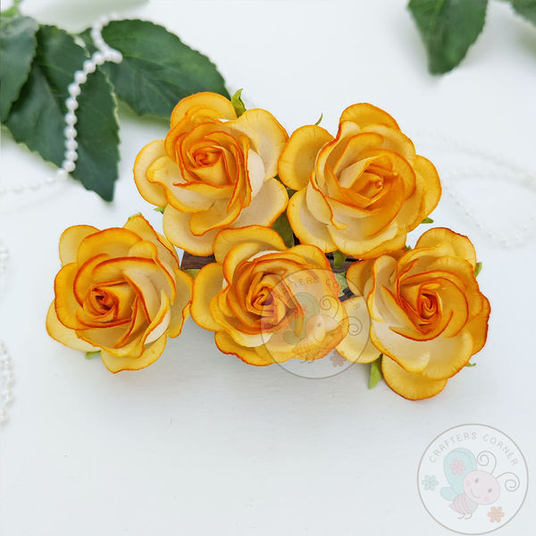 Curved Roses 35 MM - Sunrise Orange Combo