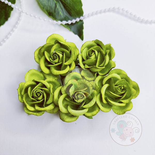 Curved Roses 35 MM - Pear Green