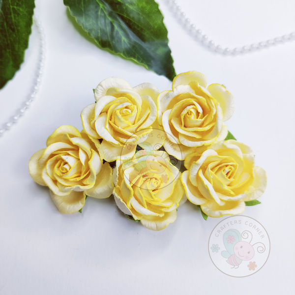 Curved Roses 35 MM - Butter Milk