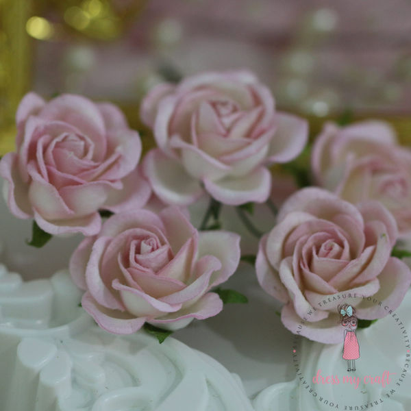 Curved Roses 35 MM - Soft Pink Combo