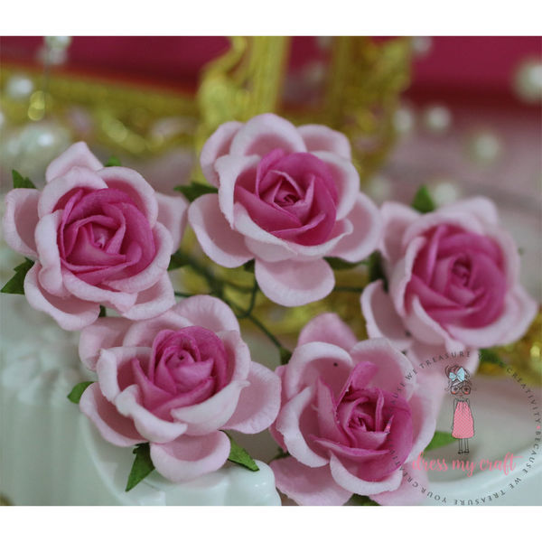 Curved Roses 35 MM - Bright Pink Combo