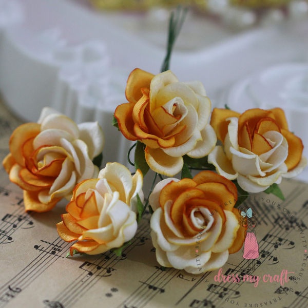 Curved Roses 35 MM - Orange Combo