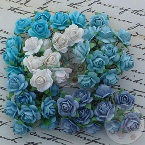 Blue Tone & White - Micro Roses Combo