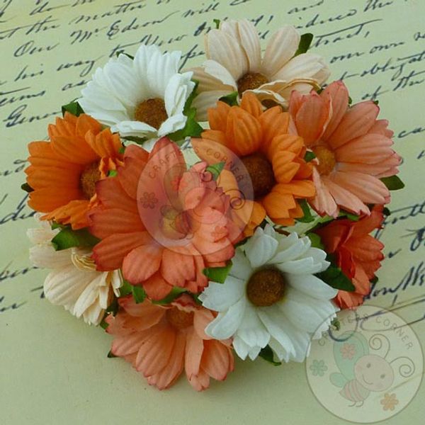 PEACH/ORANGE/WHITE - Mulberry Daisy Flower Combo