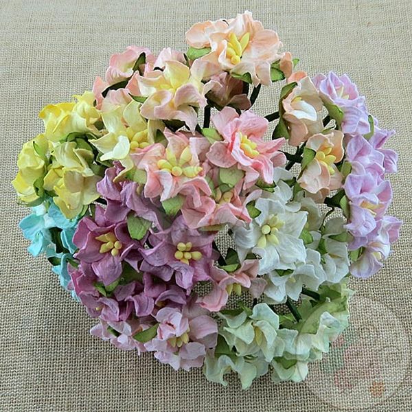 MINI GARDENIA FLOWERS - MIXED COLOUR MINIATURE