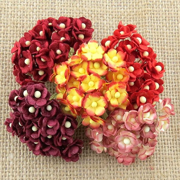 RED - 100 MINIATURE MIXED SWEETHEART BLOSSOM FLOWERS