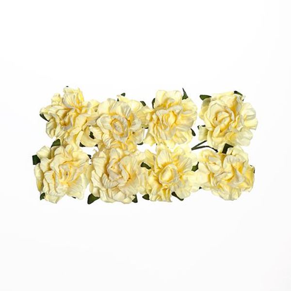 Cream White - Paper Flowers Clove