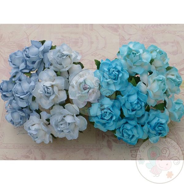 Twisted Roses Combo - Blue Tone