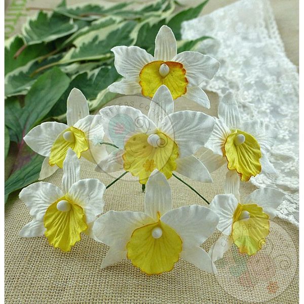 White and Yellow - Orchids Combo