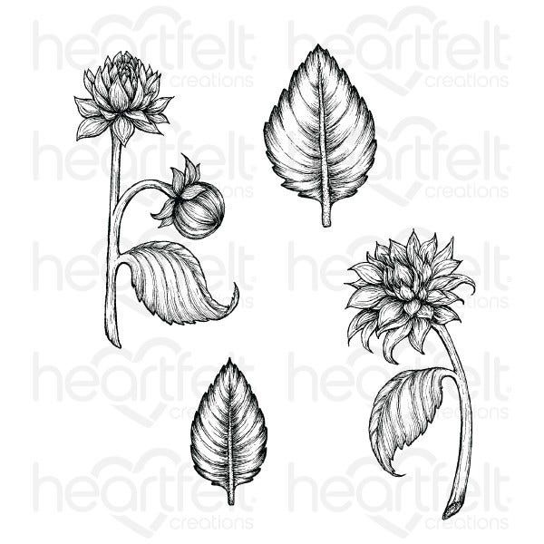 Dahlia and Leaves Cling Stamp Set