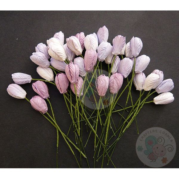 Purple/Lilac Tone - Tulip Buds Combo