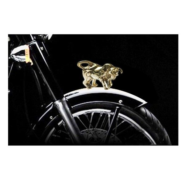 royal enfield mudguard accessories