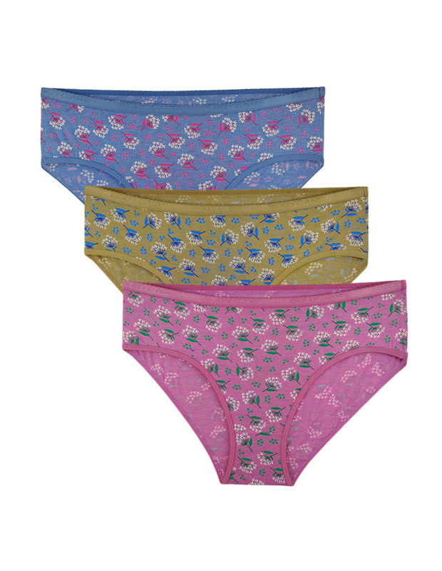 Pack Of 3 High-cut Bikini Style Cotton Printed Briefs In Assorted