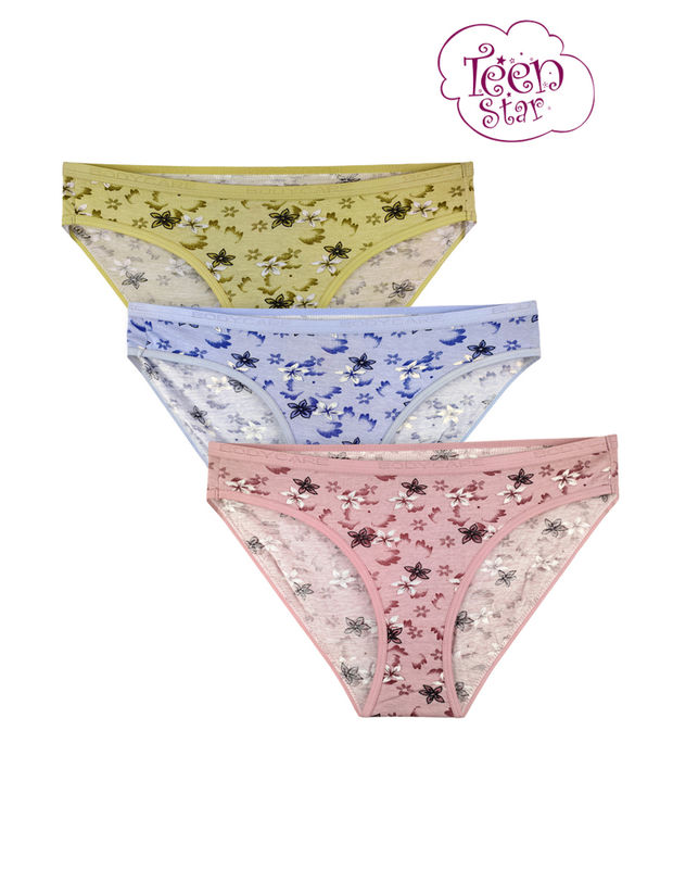 Bodycare 100 Cotton Teenager Panties In Pack Of 3-t-914-assorted