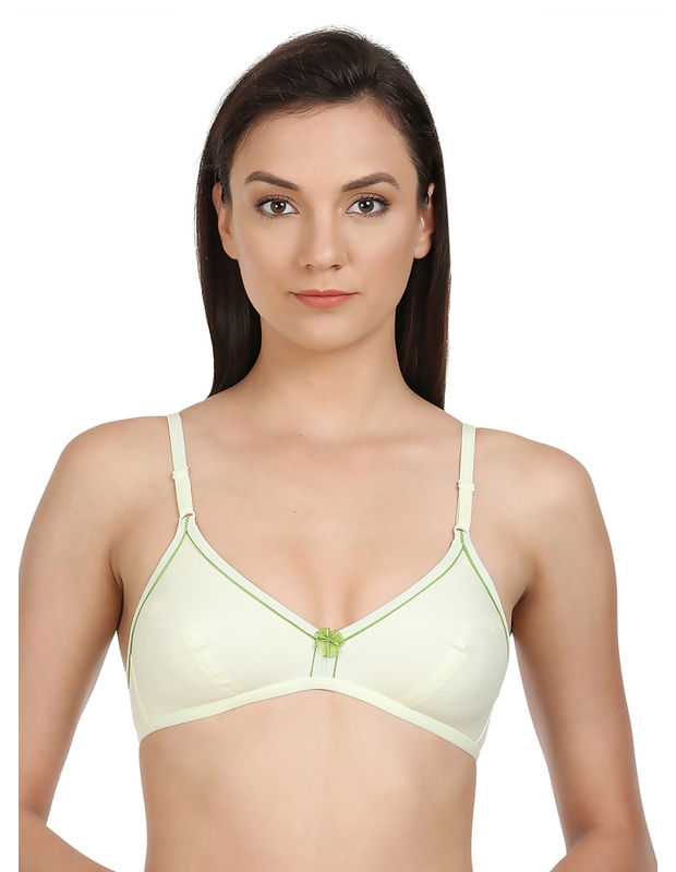 Perfect Coverage Bra-5548GR