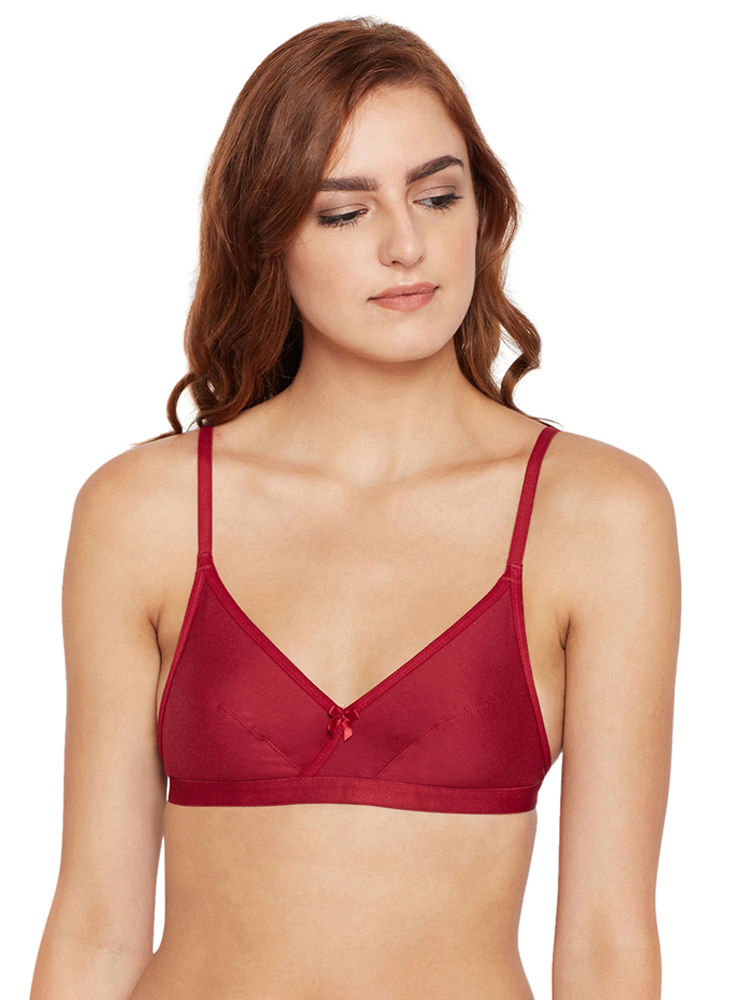 Perfect Coverage Bra-1524-MH