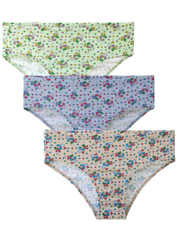 BODYCARE COTTON PRINTED PANTIES-200D – PACK OF 3 [ Nari 2850] – Online  Shopping Point