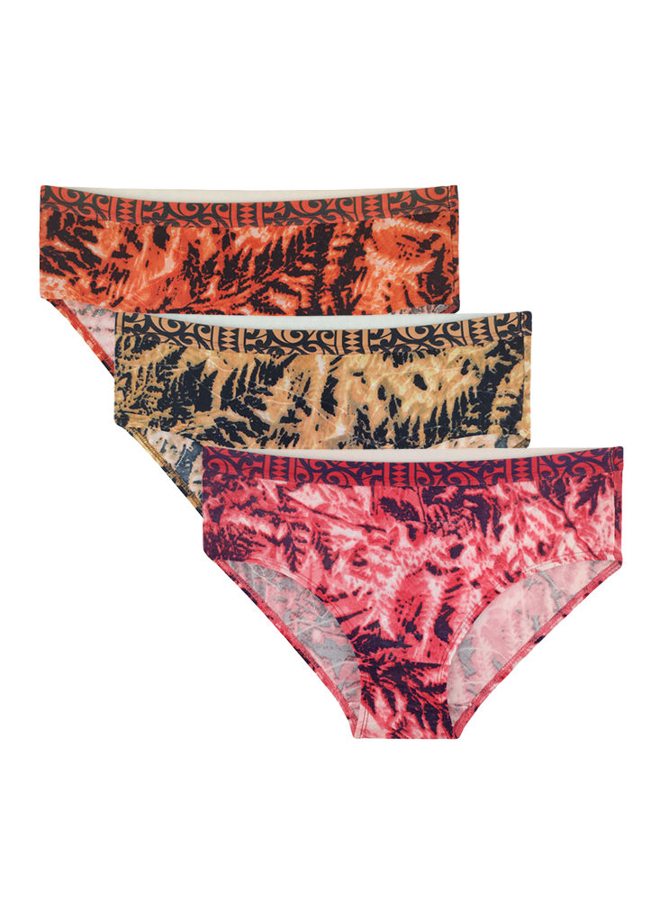 Bodycare Pack of 3 Assorted Hipster Briefs-78