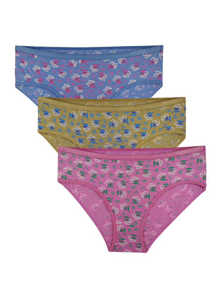 Pack Of 3 Bikini Style Cotton Briefs In Assorted Colors-79