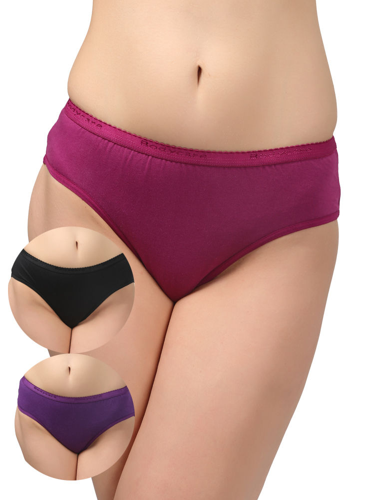 Striped Bodycare Ladies Cotton Brief Panty at Rs 495/piece in New